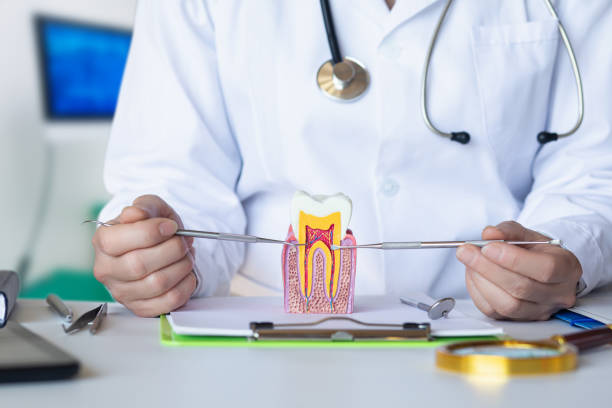 Best Emergency Dental Care for Abscessed Tooth in Wakarusa, IN